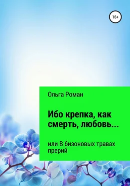 Ольга Роман Ибо крепка, как смерть, любовь… или В бизоновых травах прерий обложка книги