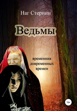 Наг Стернин Ведьмы обложка книги