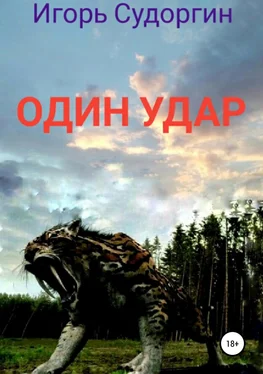 Игорь Судоргин Один удар обложка книги