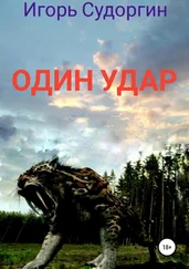 Игорь Судоргин - Один удар