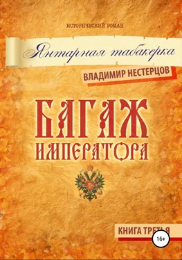 Владимир Нестерцов Багаж императора. Книга третья. Янтарная табакерка обложка книги