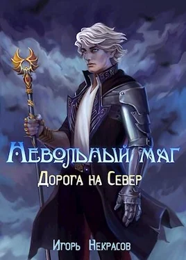 Игорь Некрасов Дорога на Север обложка книги