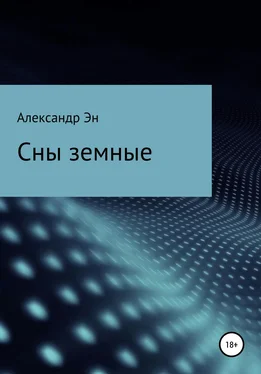 Александр Эн Сны земные [litres самиздат] обложка книги