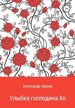 Александр Уразов Улыбка господина Хо обложка книги