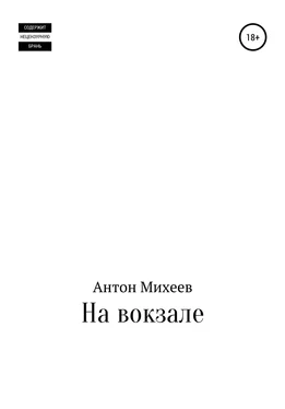 Антон Михеев На вокзале обложка книги