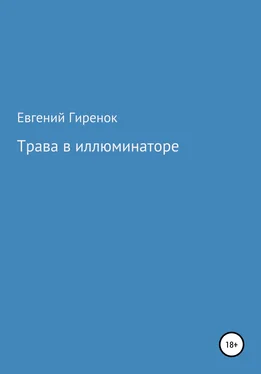 Евгений Гиренок Трава в иллюминаторе [litres самиздат] обложка книги