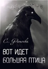 Светлана Фатеева - Вот идет большая птица [сборник рассказов]