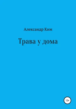 Александр Ким Трава у дома [СИ] обложка книги