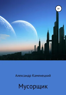 Александр Каменецкий Мусорщик [litres самиздат] обложка книги