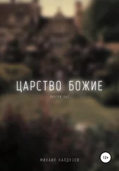 Михаил Калдузов - Царство Божие внутри вас [network_literature]