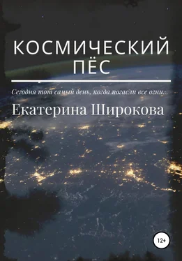 Екатерина Широкова Космический пёс [litres самиздат] обложка книги