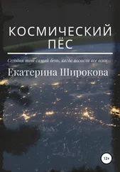 Екатерина Широкова - Космический пёс [litres самиздат]