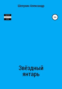 Александр Шелухин Звёздный янтарь [litres самиздат] обложка книги