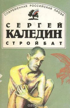 Сергей Каледин Стройбат обложка книги