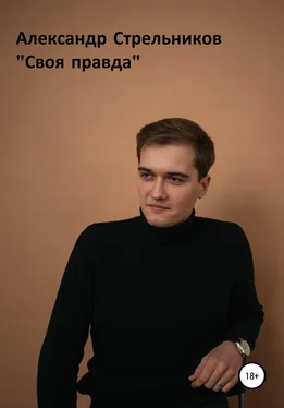 Александр Стрельников Своя правда обложка книги