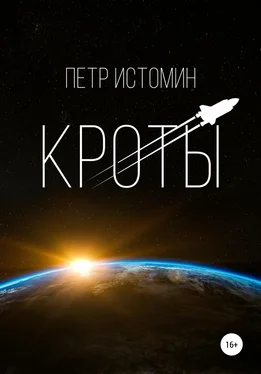 Петр Истомин Кроты обложка книги