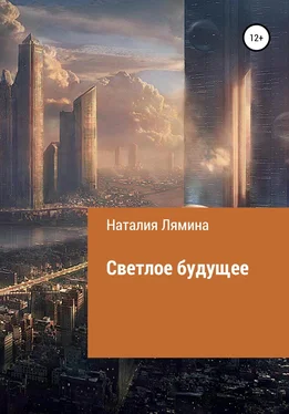 Наталия Лямина Светлое будущее обложка книги