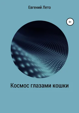 Евгений Лето Космос глазами кошки обложка книги