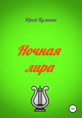 Юрий Кулигин - Ночная лира