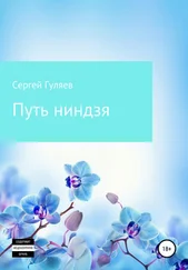 Сергей Гуляев - Путь ниндзя