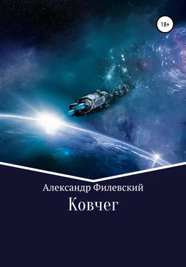 Александр Филевский Ковчег обложка книги