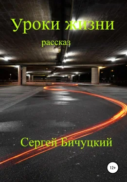 Сергей Бичуцкий Уроки жизни обложка книги