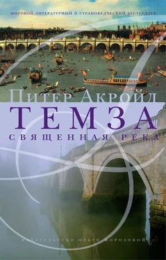 Питер Акройд Темза. Священная река [litres] обложка книги