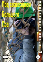 Анатолий Кольцов - Под созвездим Большого Пса. Космическая охота 64