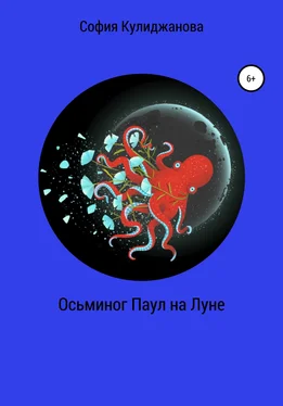 София Кулиджанова Осьминог Паул на Луне обложка книги