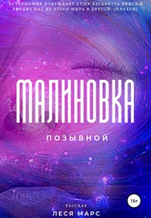 Леся Марс - Позывной «Малиновка»