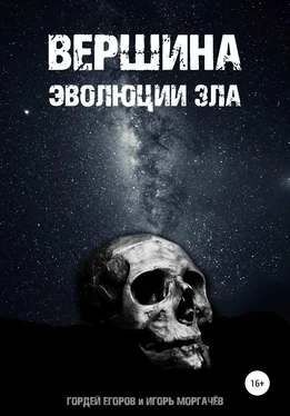 Гордей Егоров Вершина эволюции зла обложка книги
