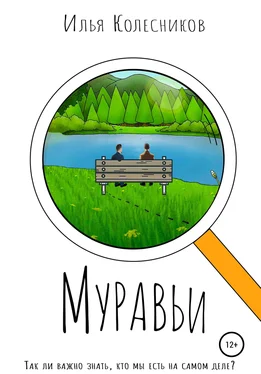 Илья Колесников Муравьи обложка книги