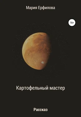 Мария Ерфилова Картофельный мастер обложка книги