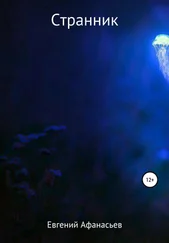Евгений Афанасьев - Странник