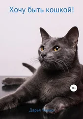 Дарья Черно - Хочу быть кошкой!
