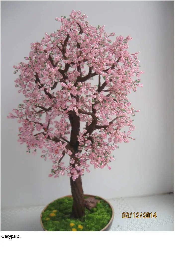 Цветы вишни для японцев символизируют быстротечность и хрупкость жизни человек - фото 9