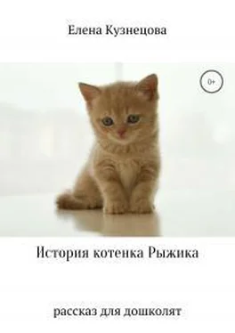 Елена Кузнецова История котенка Рыжика обложка книги