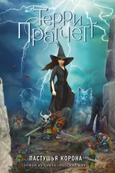 Терри Пратчетт - Пастушья корона [litres]