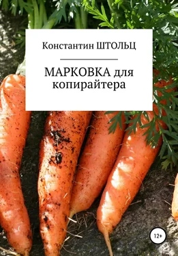 Константин Штольц Марковка для копирайтера. Самоучитель обложка книги