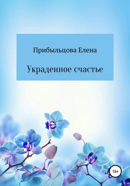 Елена Прибыльцова Украденное счастье обложка книги