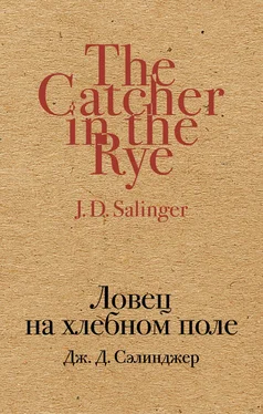 Джером Сэлинджер Ловец на хлебном поле обложка книги