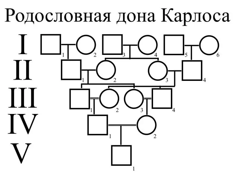 Рисунок 14 Родословная дона Карлоса Филипп III Рисунок 16 ФилиппIII - фото 17
