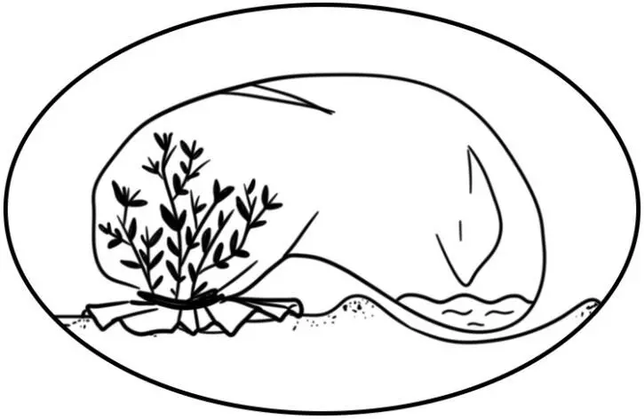 Рис 12 Мешочный конденсатор В большой мешок можно поместить целиком отдельно - фото 13