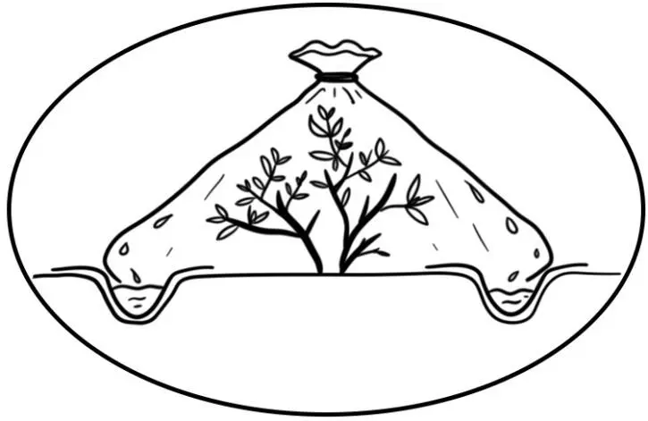 Рис 14 Конденсатор из двух кусков полиэтилена При отсутствии мешка - фото 15