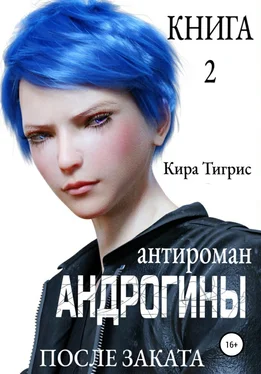 Кира Тигрис Андрогины 2: После заката обложка книги