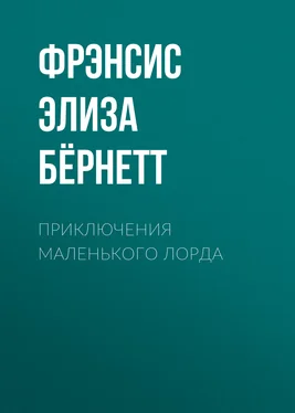 Фрэнсис Бернетт Приключения маленького лорда обложка книги