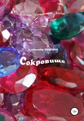 Александр Зиборов - Сокровище