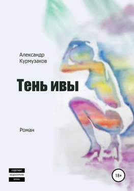 Александр Курмузаков Тень ивы обложка книги