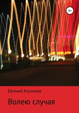 Евгений Косенков Волею случая обложка книги