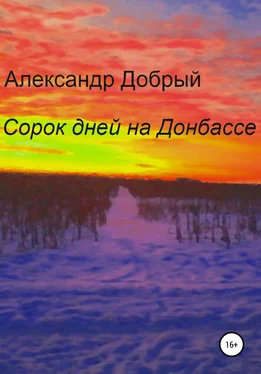 Александр Добрый Сорок дней на Донбассе обложка книги